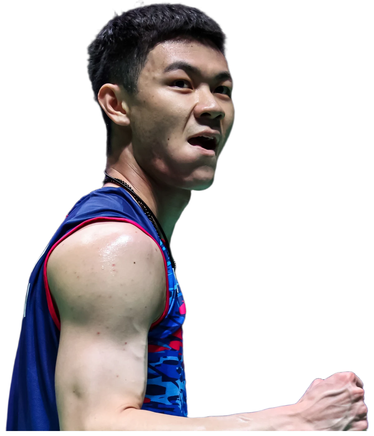 Lee Zii Jia